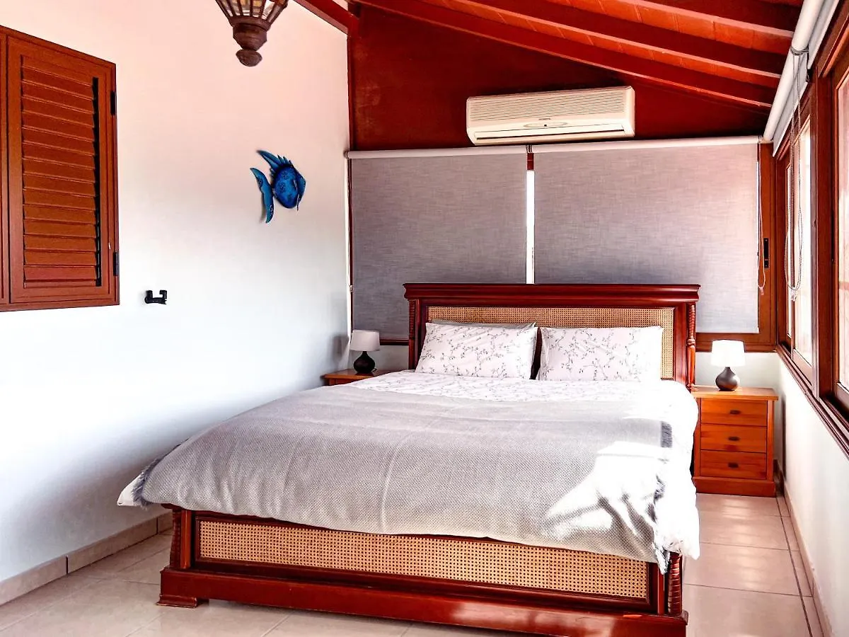 Arico Viejo Exquisite Rural House With Garden, Pool And Sea Viewsヴィラ シャレー